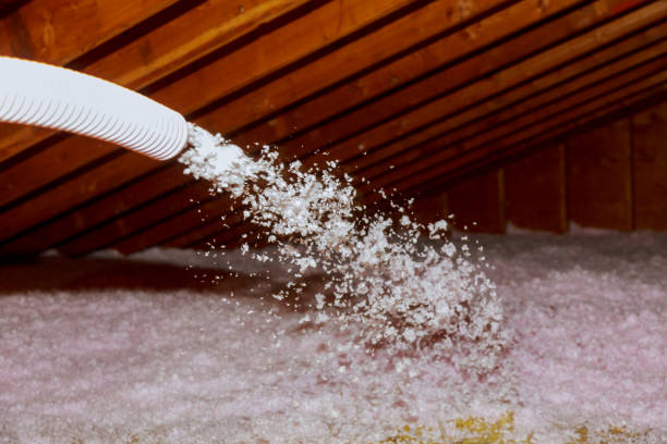 Insulation Repair Services in Limon, CO